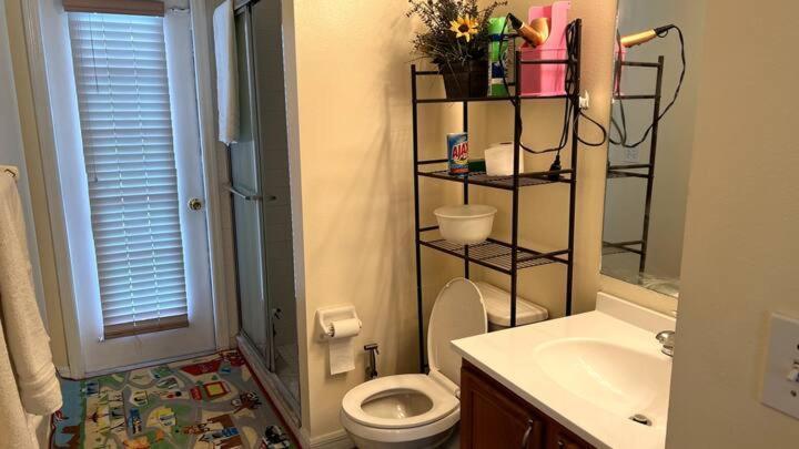 Room In Citrus Park And Carollwood, Close To The Airport & Downtown Tampa Exterior photo
